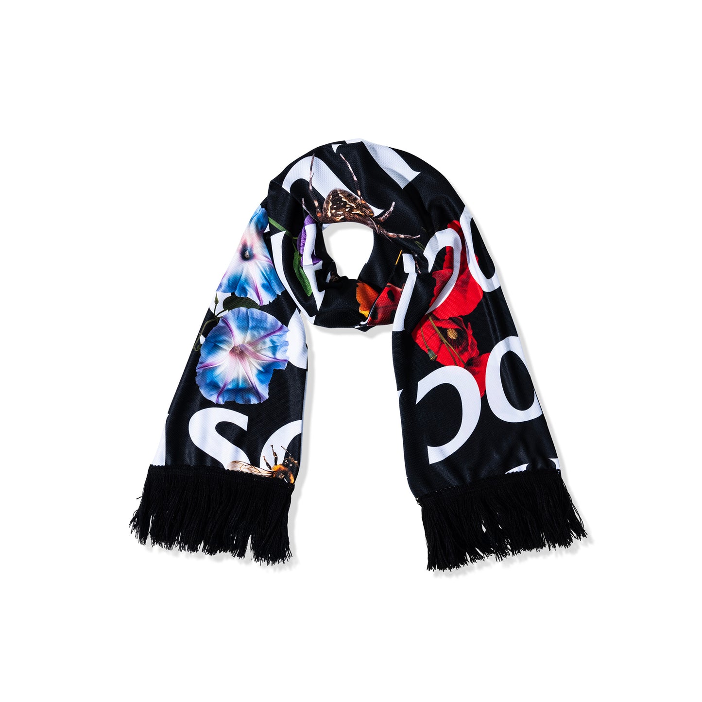 Phylum Scarf