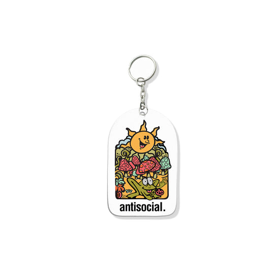 Frog Trip Keychain